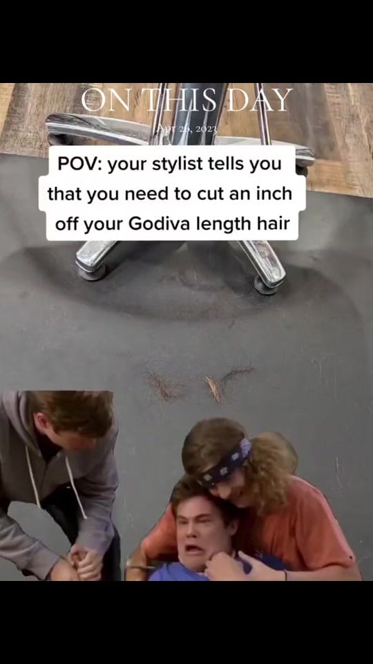 Post 6 by Renee Vancity Hairstylist 🇨🇦 on TikTok (video)