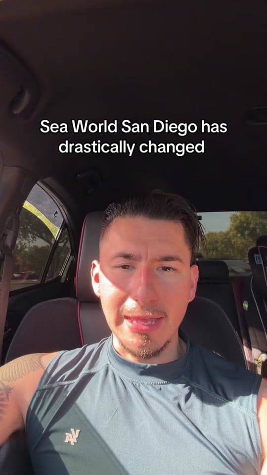 Post 1 by fxckaleex on TikTok (video)