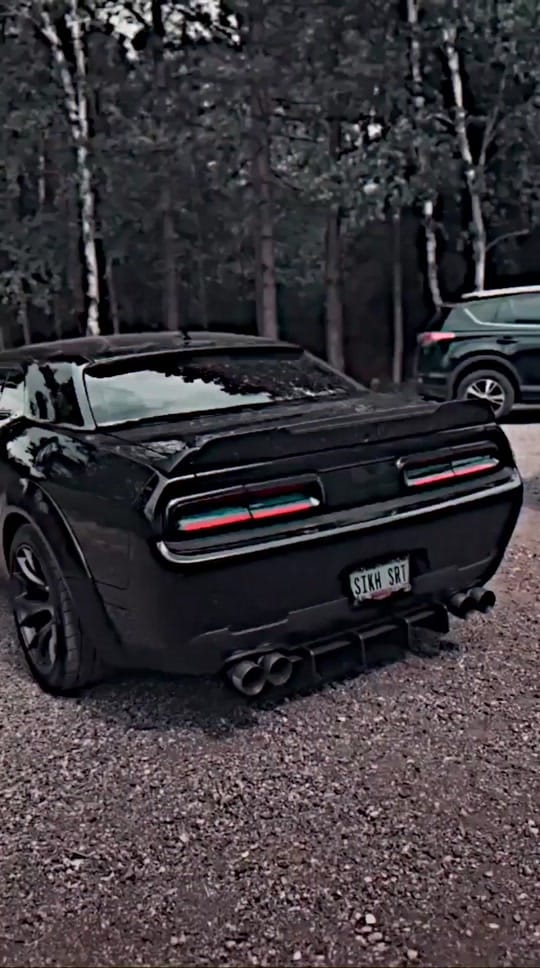 Post 7 by ابراهيم عبد الرحمن🎖 on TikTok (video)