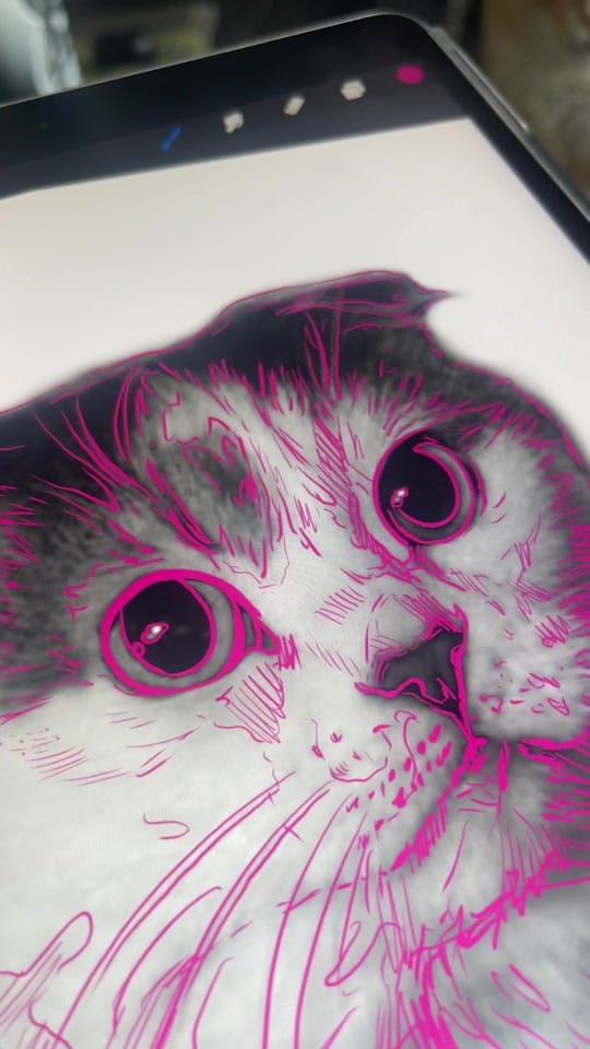 Post 2 by Elvira_Fraelic on TikTok (video)