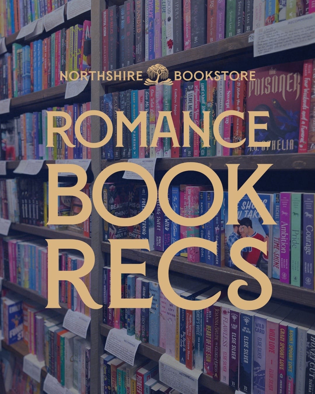 Post 8 by Northshire Bookstore on TikTok (video)
