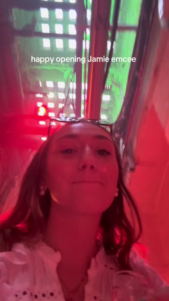 Post 7 by anoushka emilia on TikTok (video)
