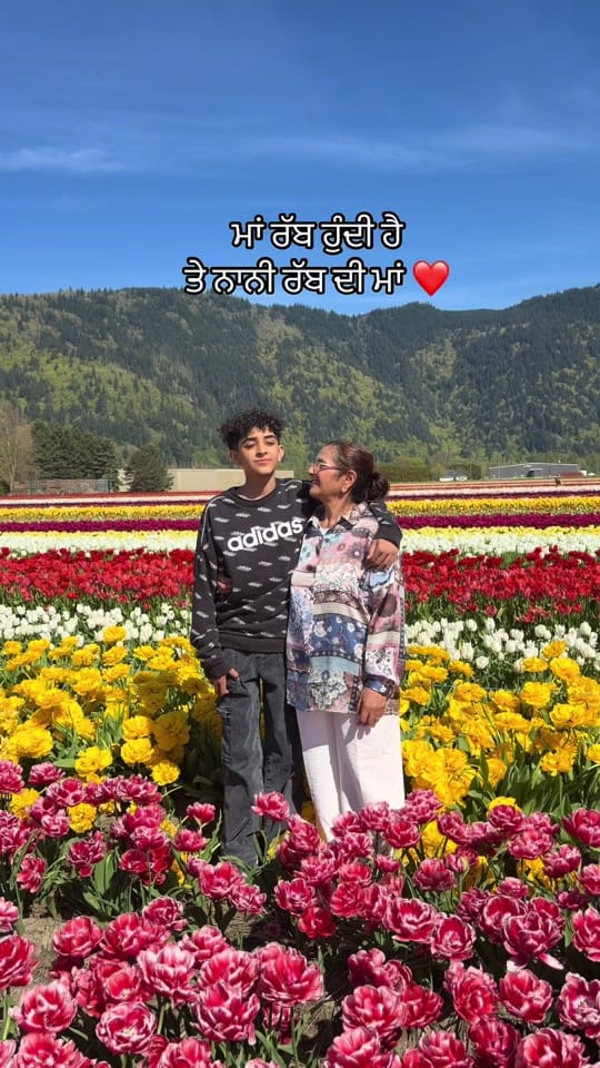 Post 8 by Pavi Dosanjh on TikTok (video)