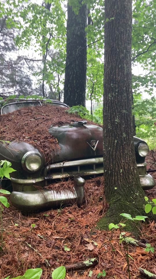 Post 1 by Old Car City USA on TikTok (video)