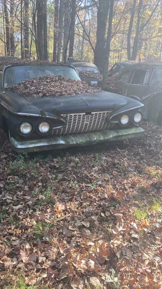Post 8 by Old Car City USA on TikTok (video)