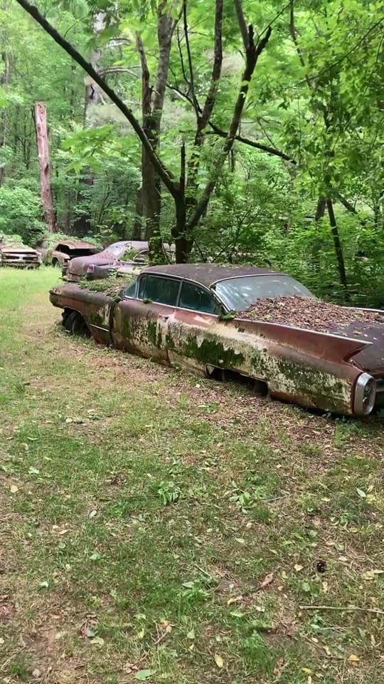 Post 3 by Old Car City USA on TikTok (video)