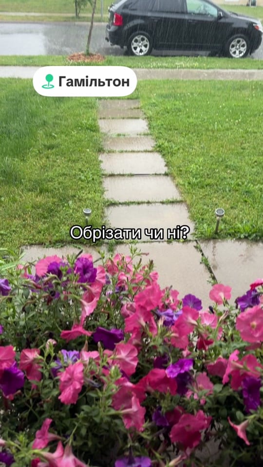 Post 4 by Tetiana Tytarenko on TikTok (video)