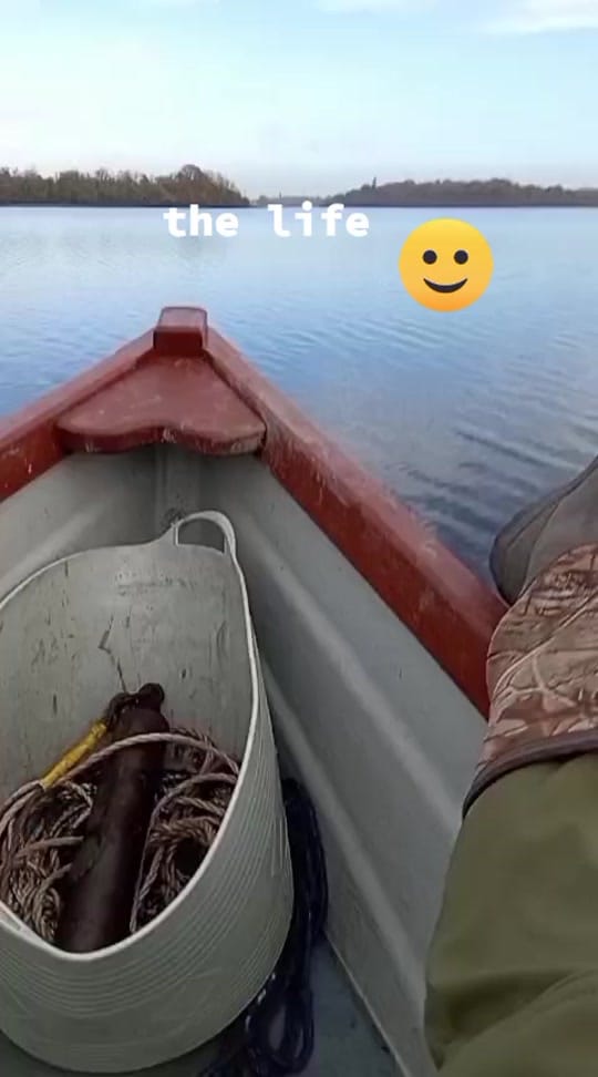Post 7 by Badger on TikTok (video)