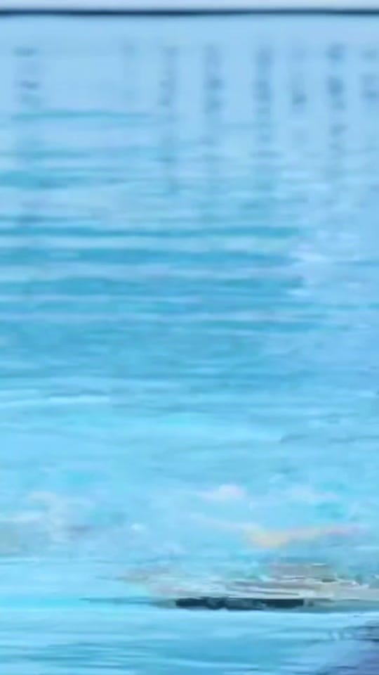 Post 8 by Canada Artistic Swimming on TikTok (video)