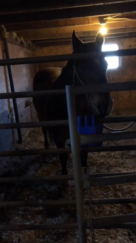 Post 2 by Cordell Holman on TikTok (video)