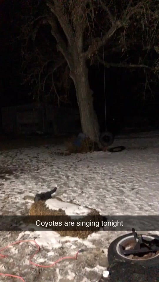 Post 3 by Cordell Holman on TikTok (video)