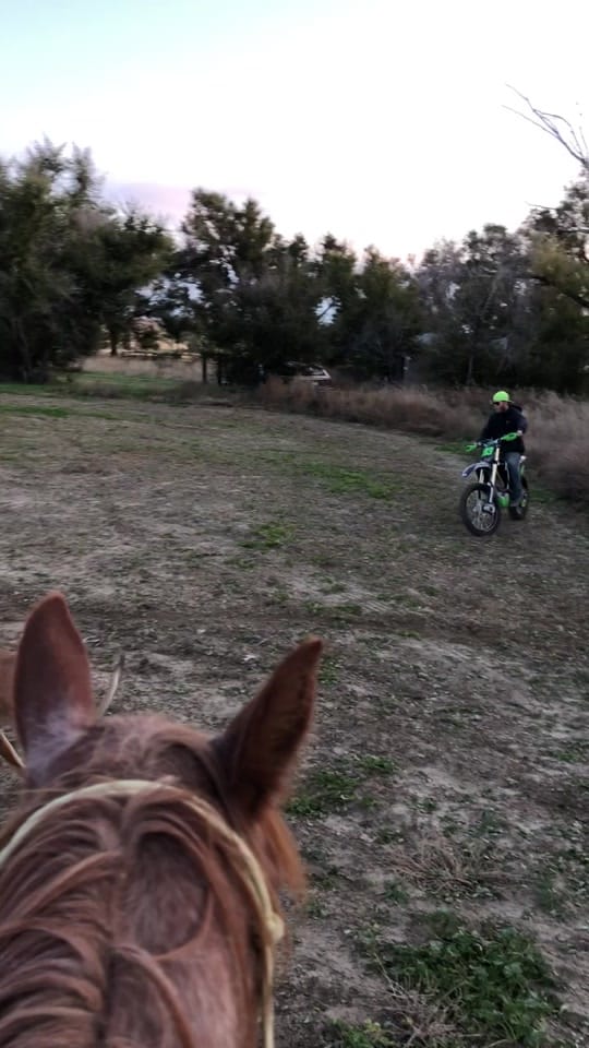 Post 7 by Cordell Holman on TikTok (video)