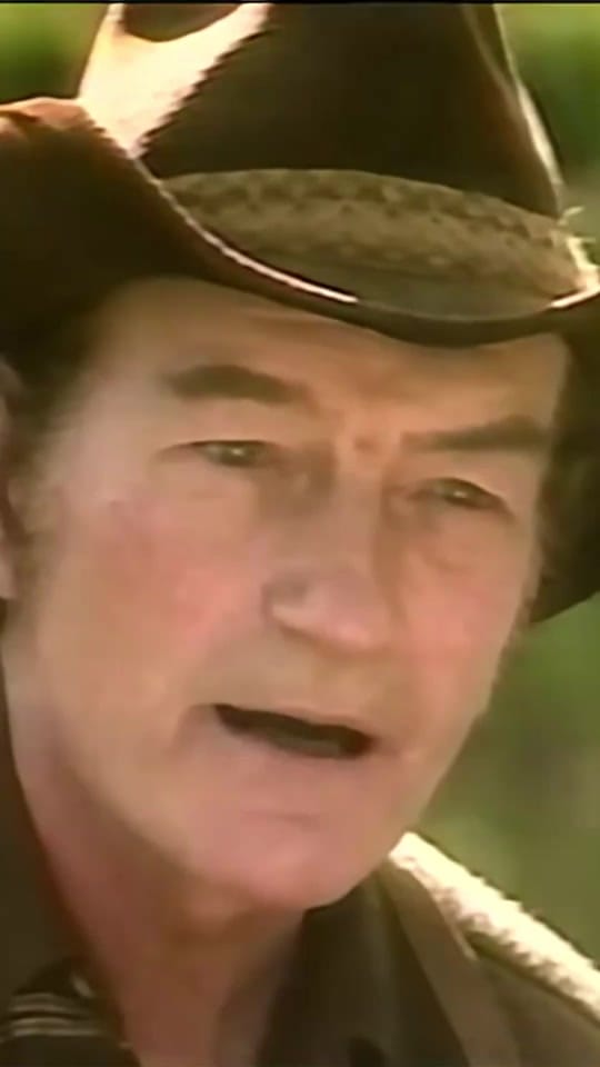 Post 7 by Stompin’ Tom Connors on TikTok (video)