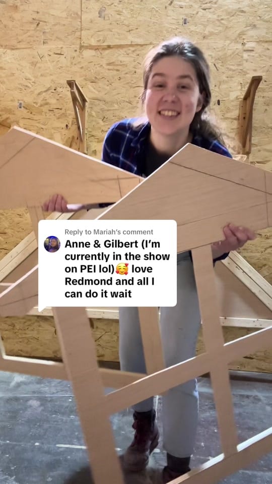 Post 3 by Meredith on TikTok (video)
