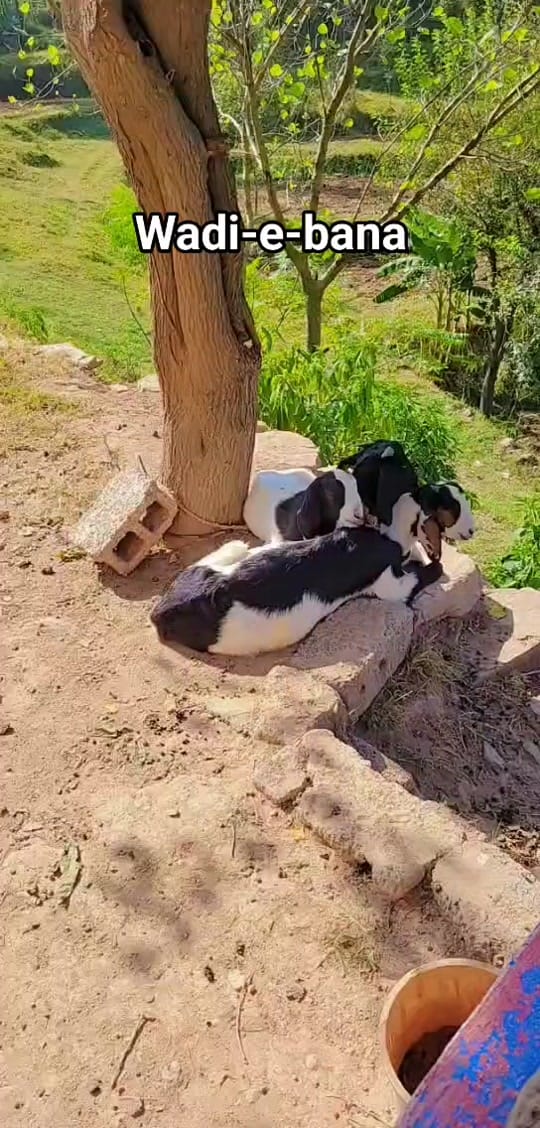 Post 10 by _Sophii_ on TikTok (video)
