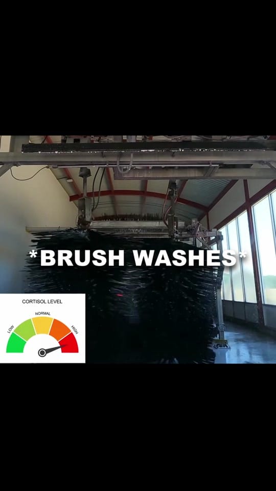 Post 3 by Autowash on TikTok (video)