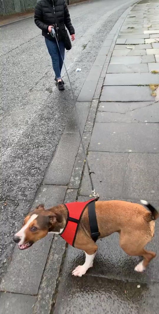 Post 10 by David Bewick on TikTok (video)