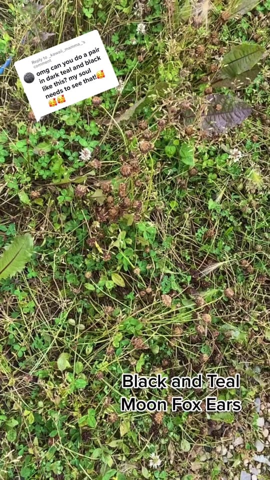 Post 8 by Little Luxies on TikTok (video)