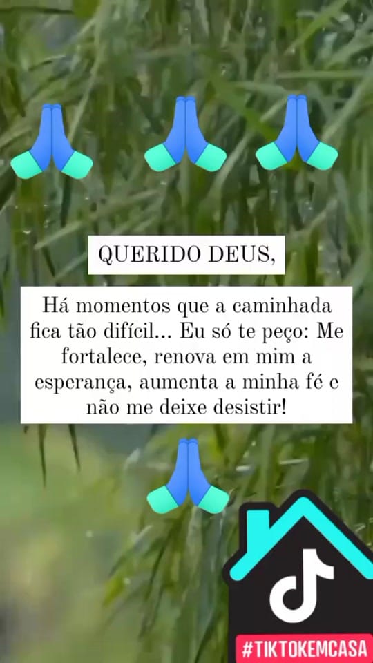 Post 6 by h_thamires on TikTok (video)