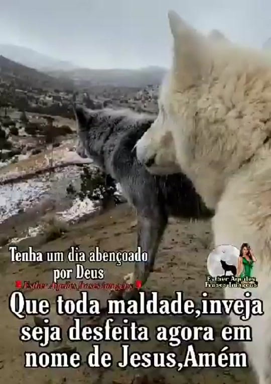 Post 2 by h_thamires on TikTok (video)