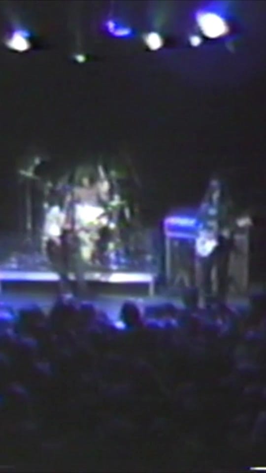 Post 5 by thelemontwigs on TikTok (video)