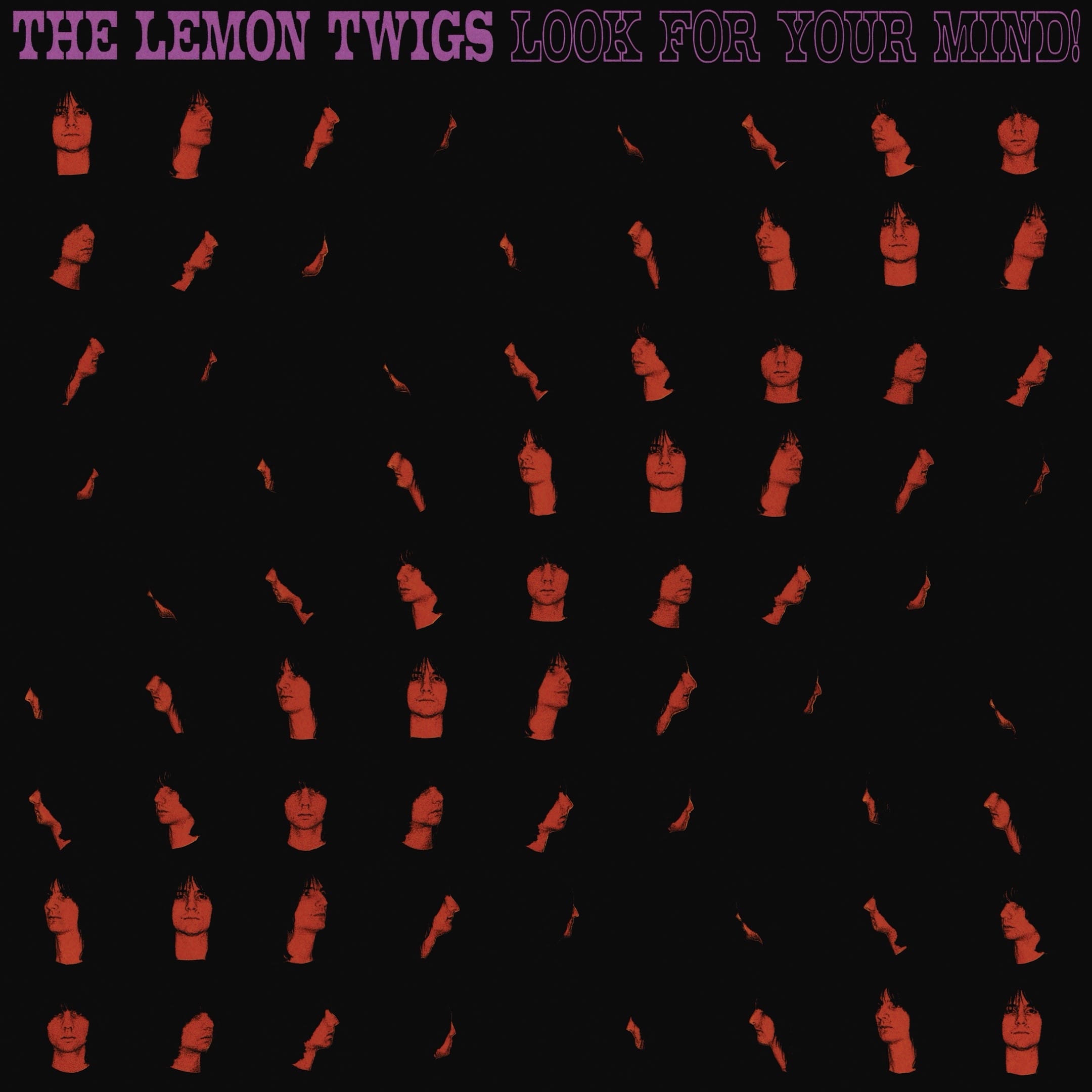 Post 8 by thelemontwigs on TikTok (video)