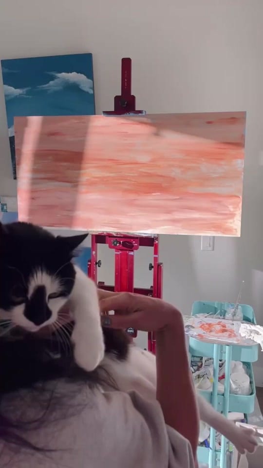 Post 8 by Alex Mackie on TikTok (video)
