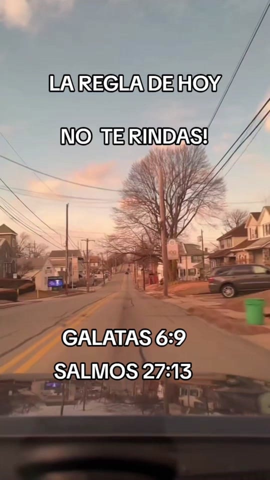 Post 6 by Alejandro Network🌎 Gal 3:13 on TikTok (video)