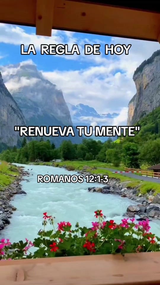 Post 4 by Alejandro Network🌎 Gal 3:13 on TikTok (video)