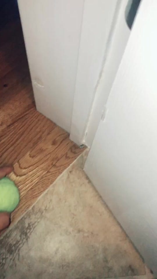 Post 1 by scottieyant on TikTok (video)