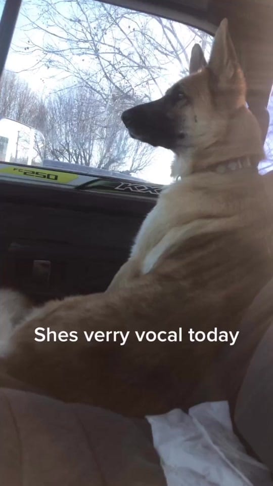 Post 4 by scottieyant on TikTok (video)
