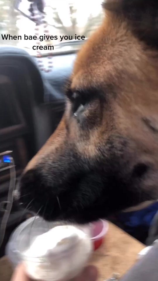 Post 5 by scottieyant on TikTok (video)