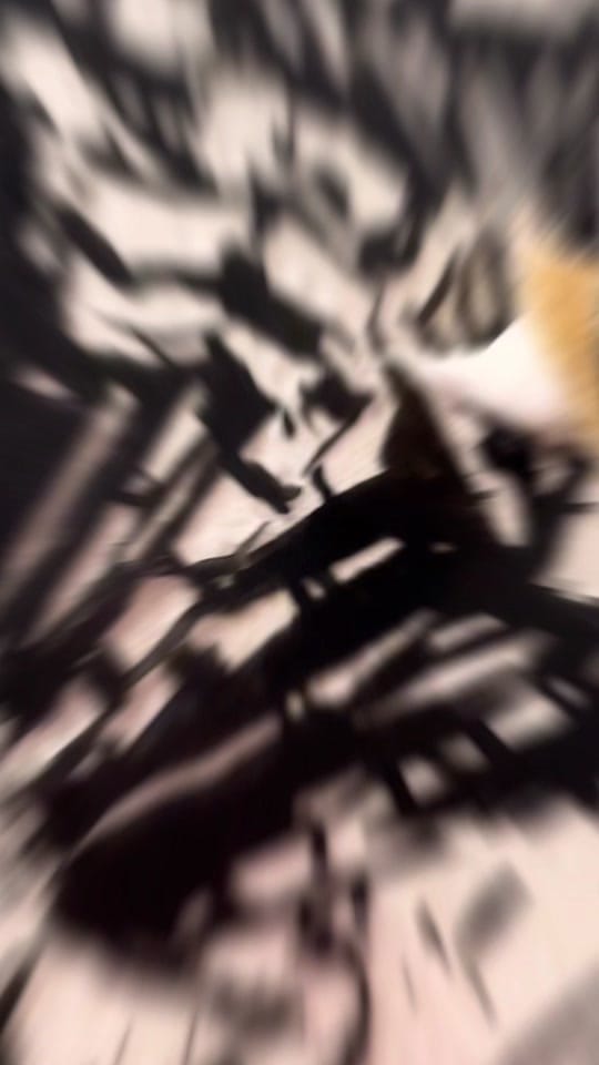 Post 5 by Kenzie Cooper on TikTok (video)