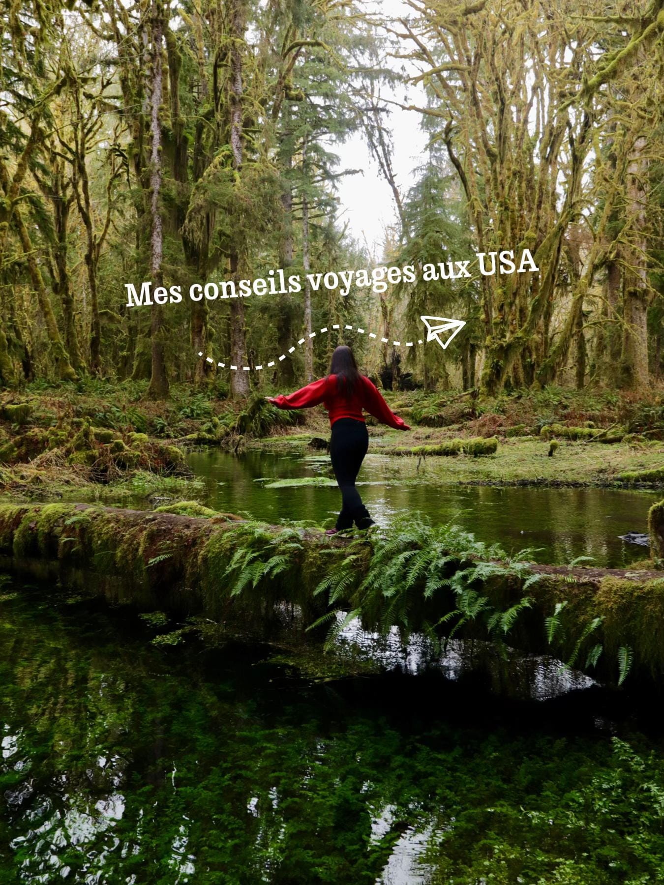 Post 2 by Ana en Arkansas 🇺🇸 on TikTok (video)