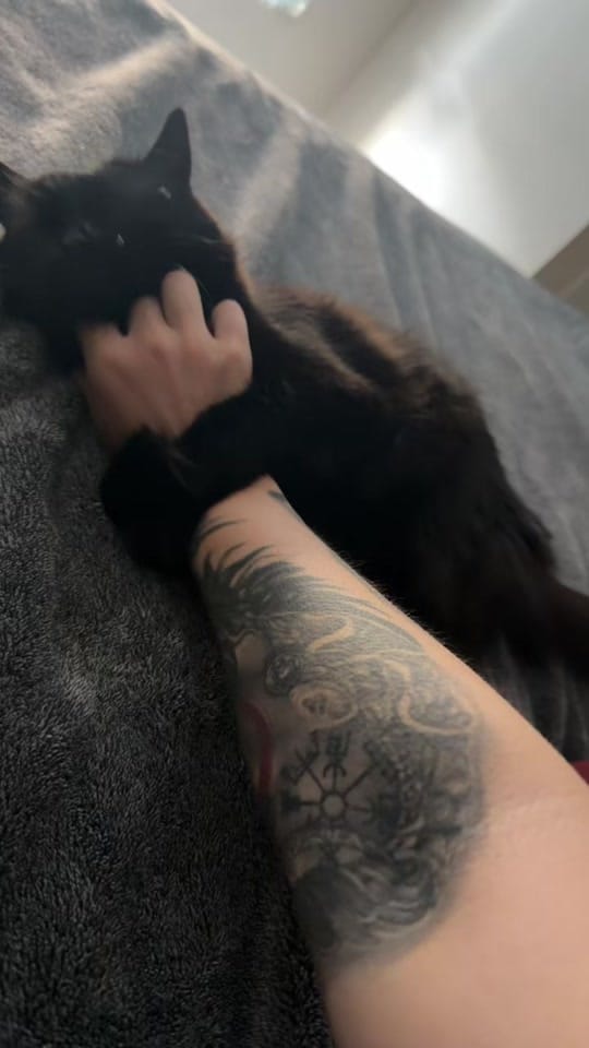Post 3 by SelenaB739 on TikTok (video)