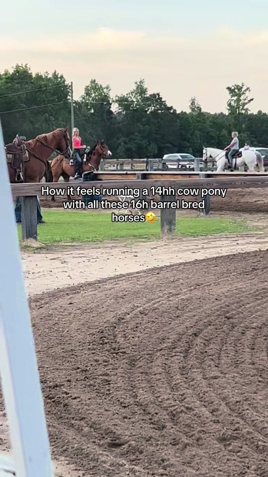 Post 8 by 𝐈𝐫𝐞𝐥𝐚𝐧𝐝 𝐊🦓🪩 on TikTok (video)