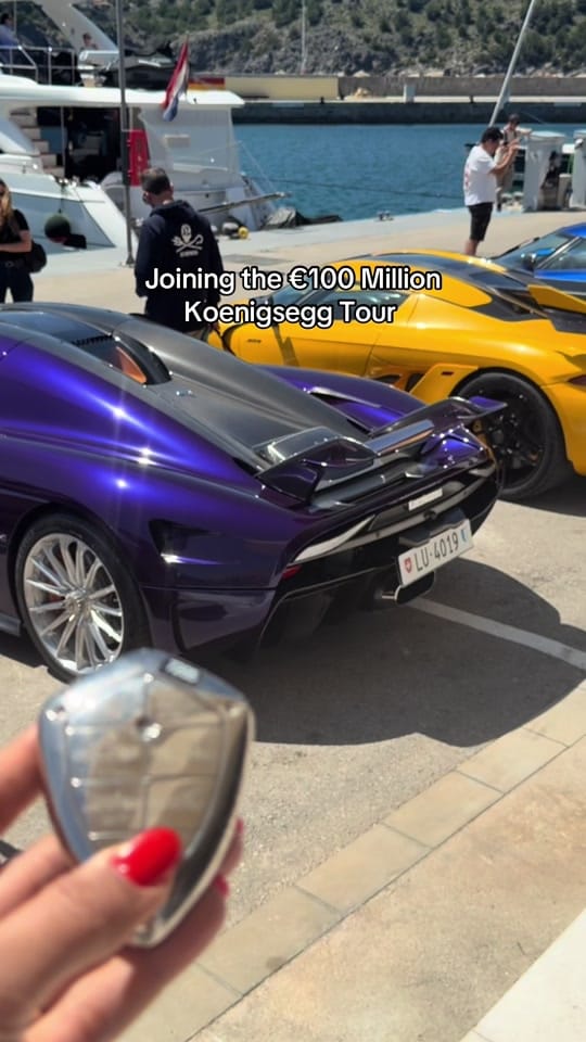 Post 1 by Arabian Gazelles on TikTok (video)