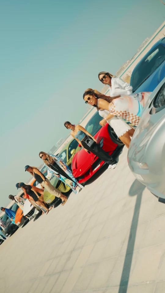 Post 4 by Arabian Gazelles on TikTok (video)
