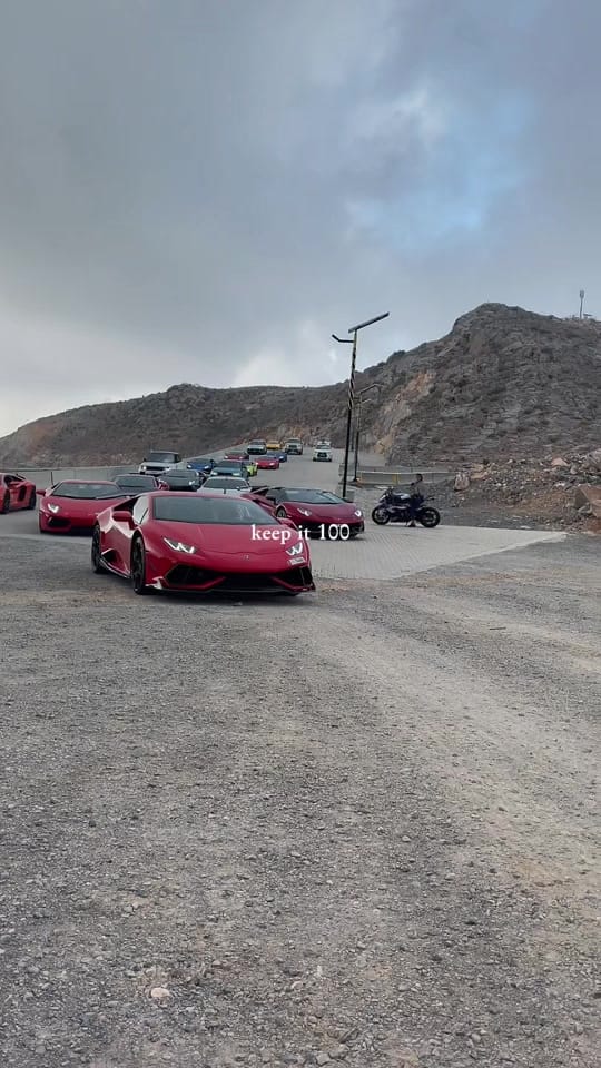 Post 3 by Arabian Gazelles on TikTok (video)