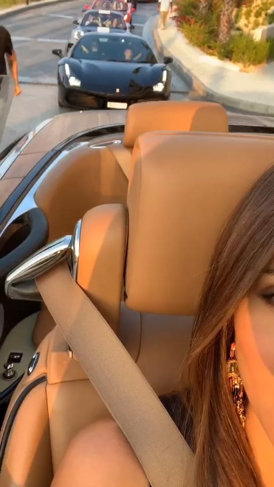 Post 9 by Arabian Gazelles on TikTok (video)