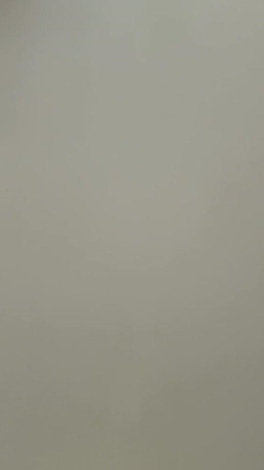 Post 10 by Token Menagerie 🇨🇦 on TikTok (video)
