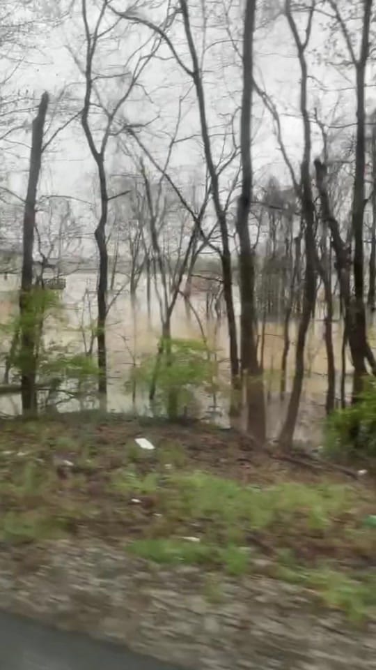 Post 7 by Stroud on TikTok (video)