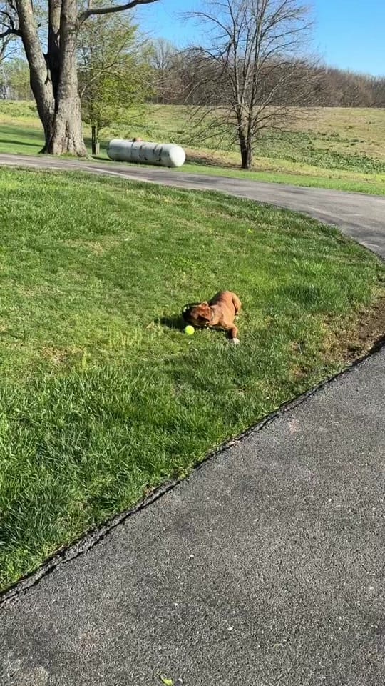Post 3 by Stroud on TikTok (video)