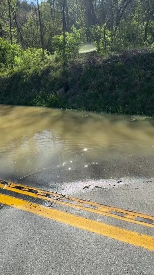Post 4 by Stroud on TikTok (video)