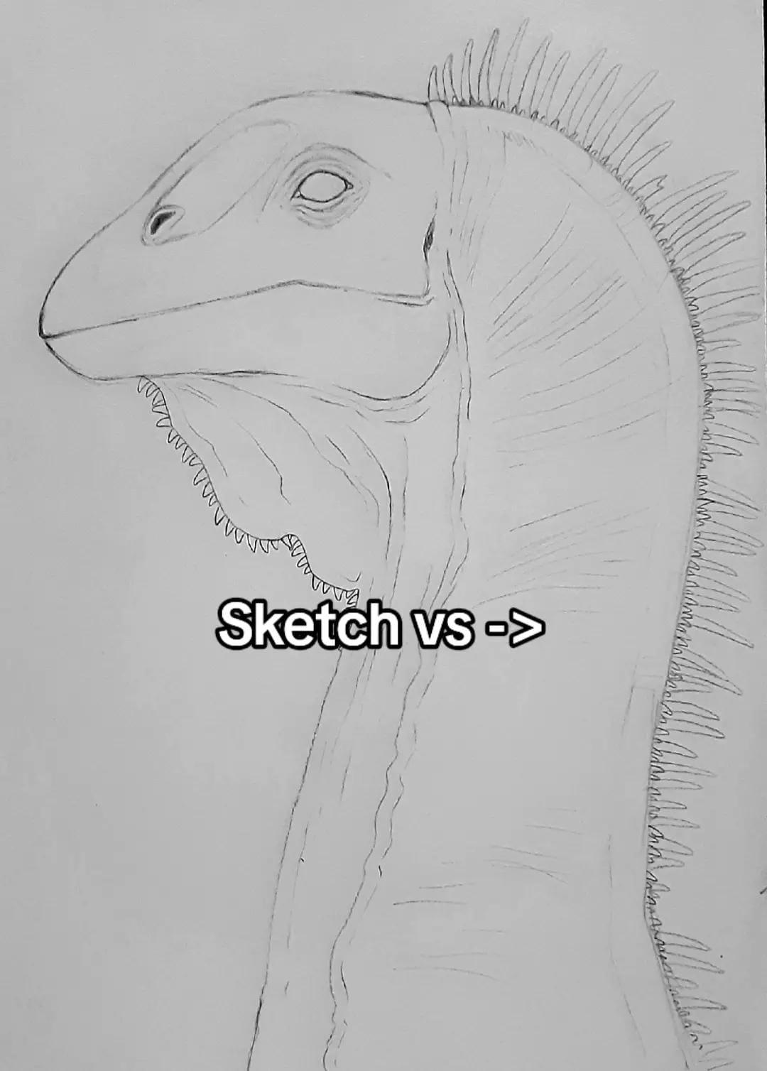 Post 7 by Xavier does Art on TikTok (video)