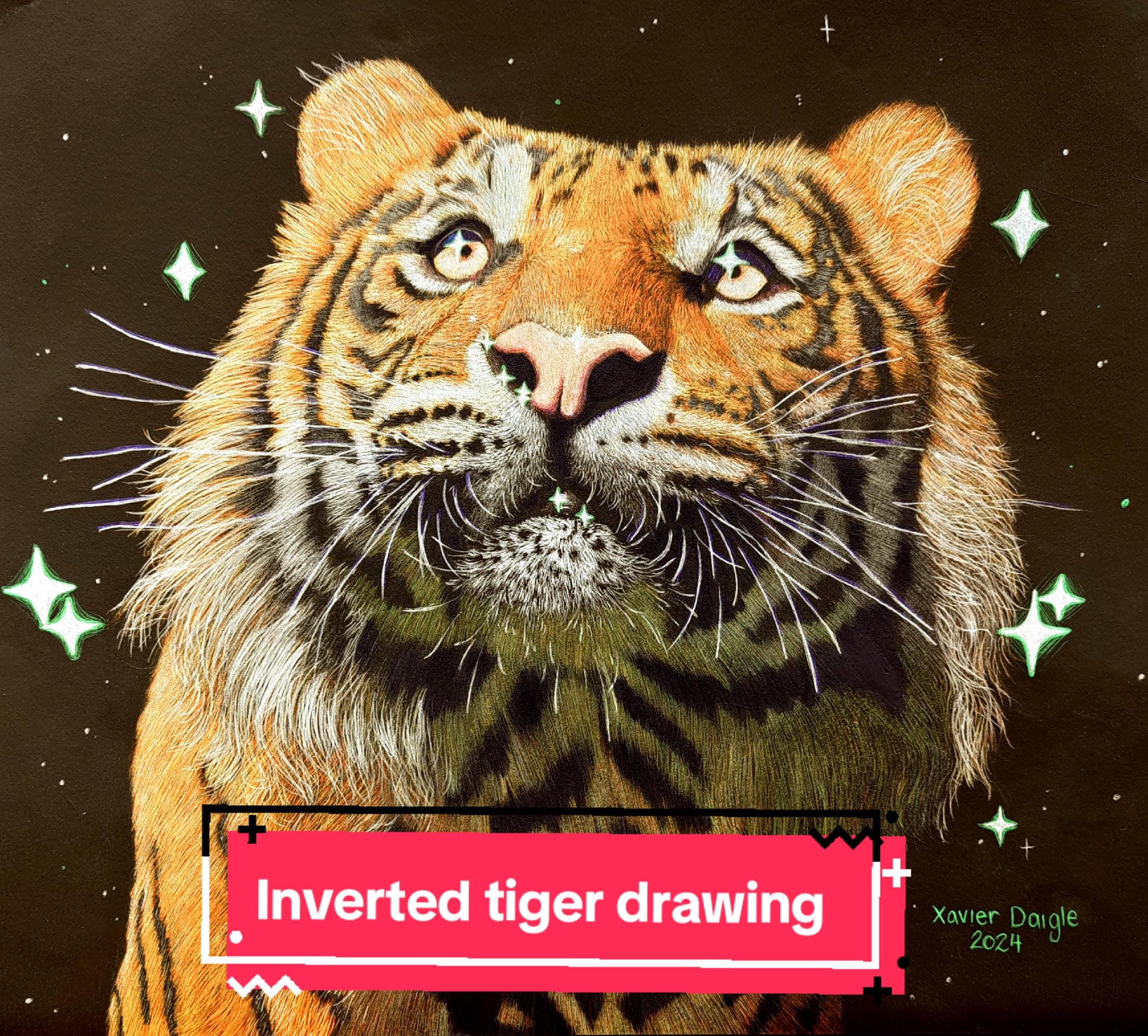 Post 9 by Xavier does Art on TikTok (video)