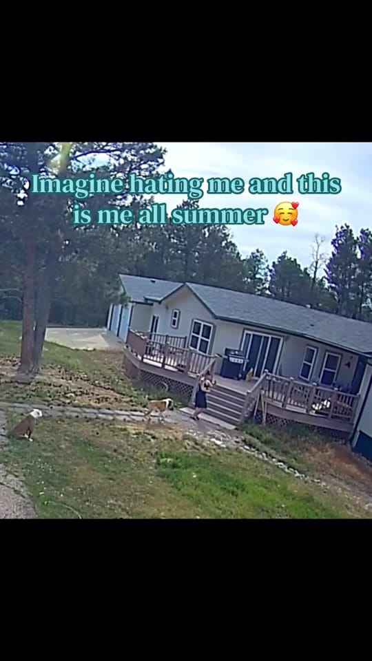 Post 1 by Jo Shenanigan McBride on TikTok (video)