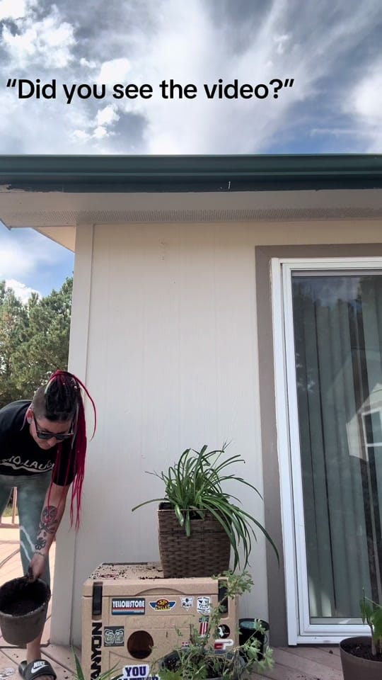 Post 4 by Jo Shenanigan McBride on TikTok (video)