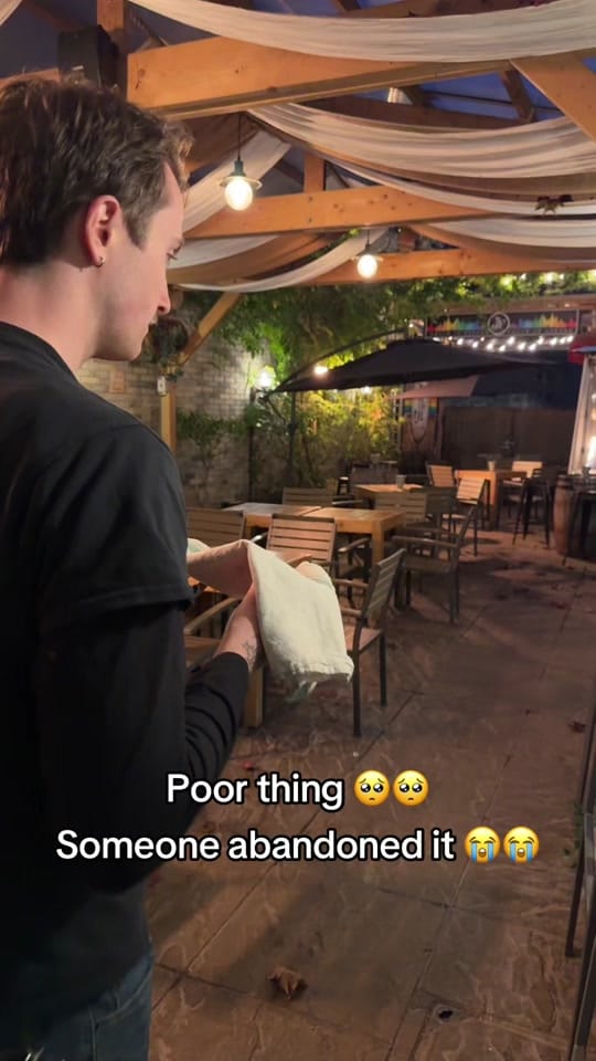 Post 5 by The Jolly Farmers on TikTok (video)