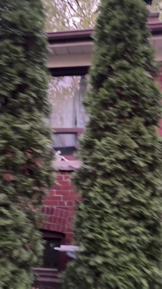 Post 8 by KAWAII.IN.ACTION on TikTok (video)